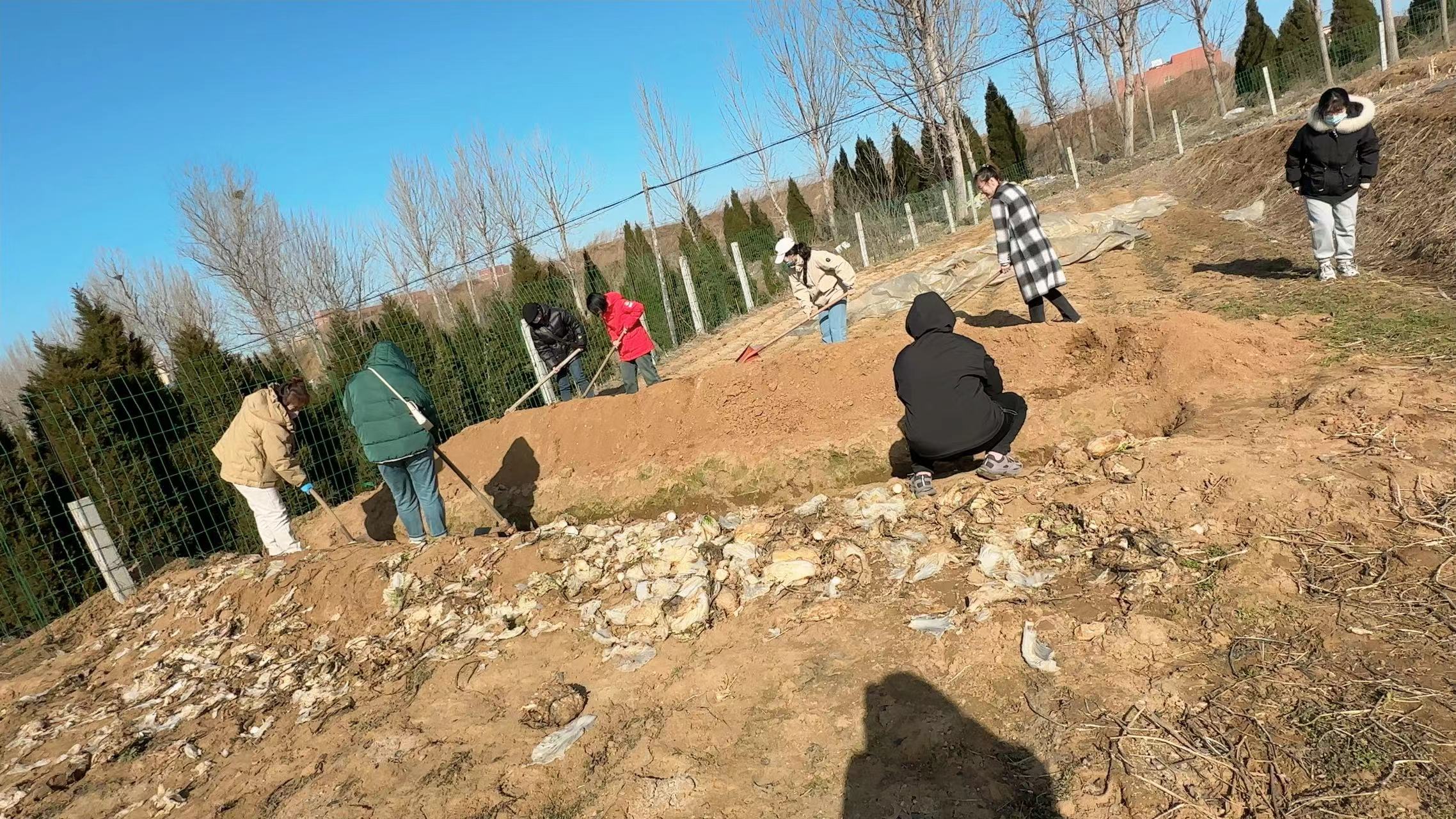 image009.jpg image009.jpg