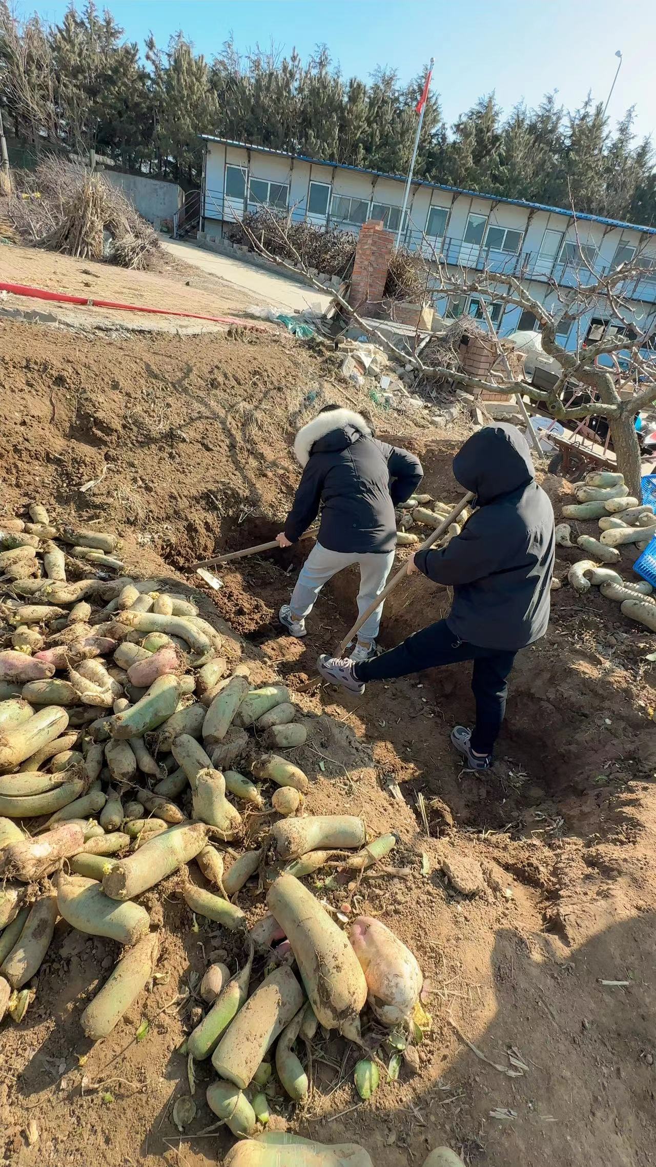 image005.jpg image005.jpg