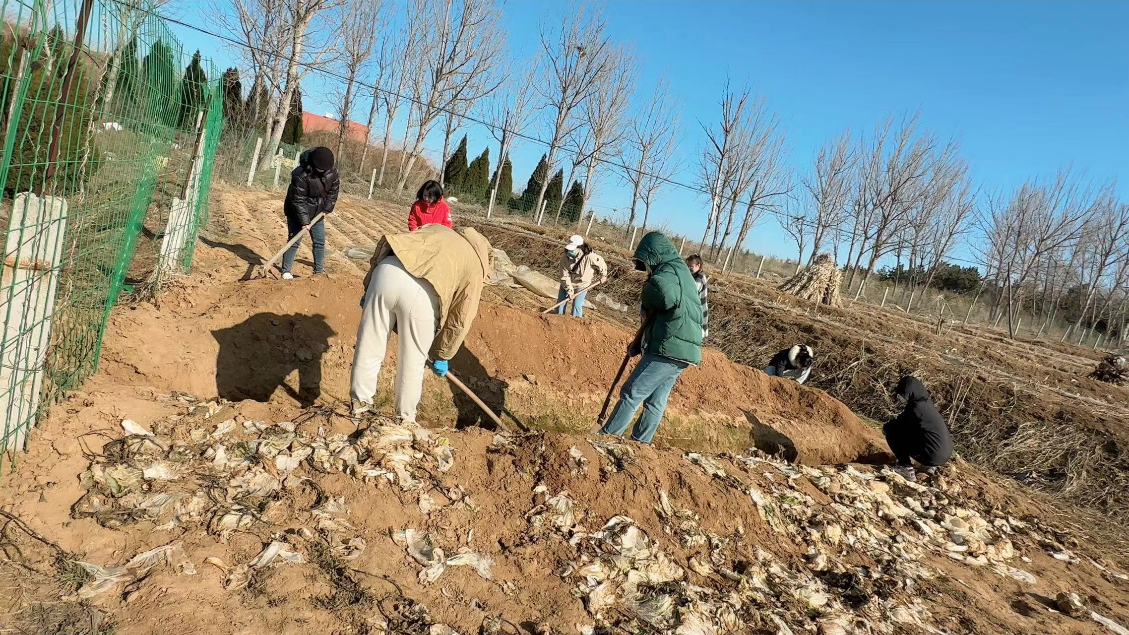 image011.jpg image011.jpg